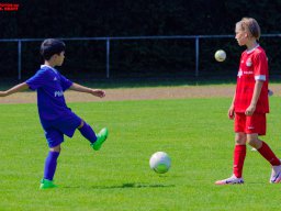 Hillen Cup 2024